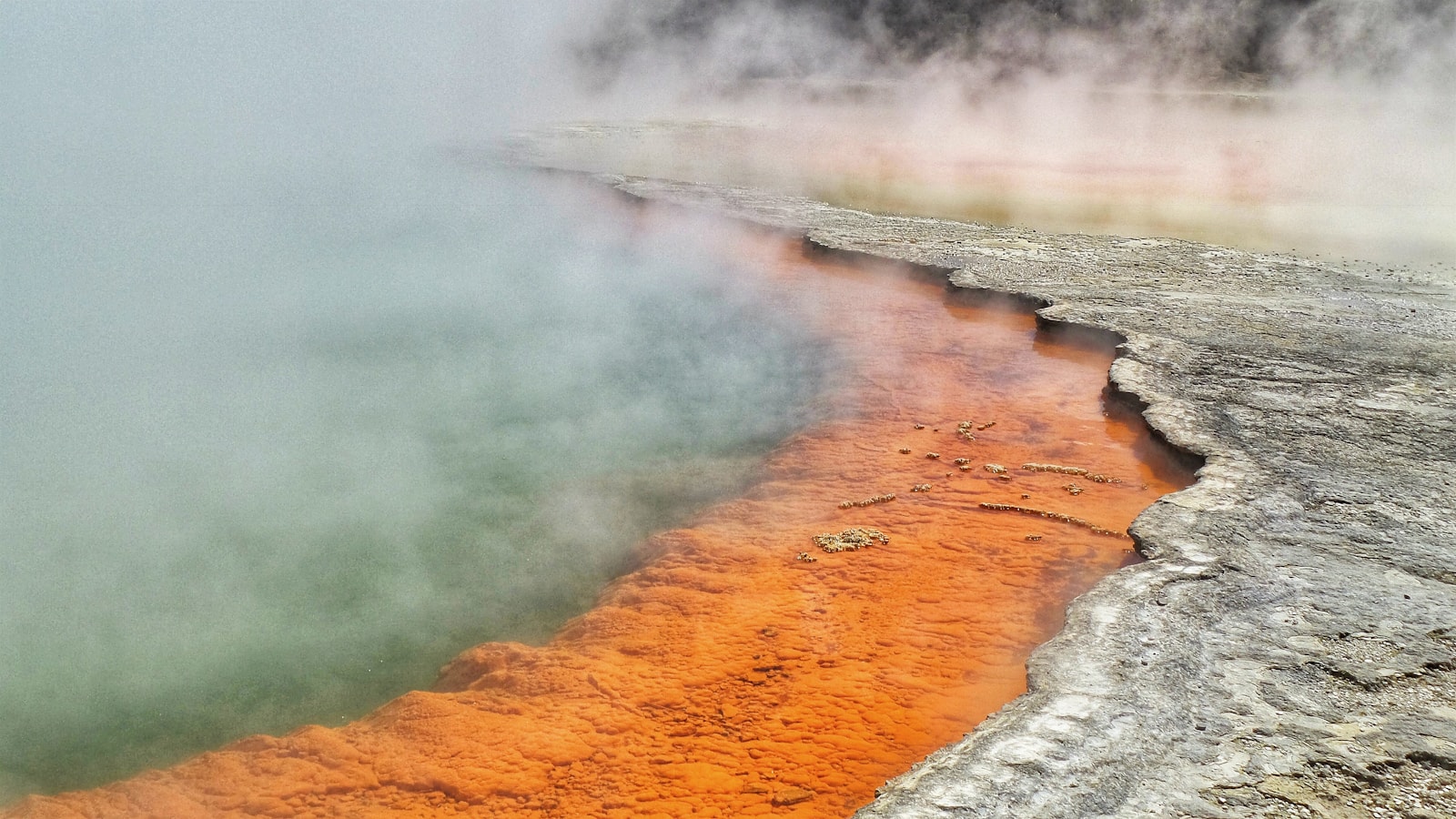 Piscina geotermal de colores y vapor cerca de Rotorua